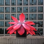 Breathing Flower de Choi Jeong Hwa.jpeg